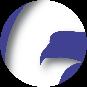 BlueRavenshadow